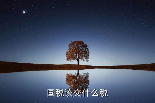 在國稅要繳納什么稅，國稅都交什么稅