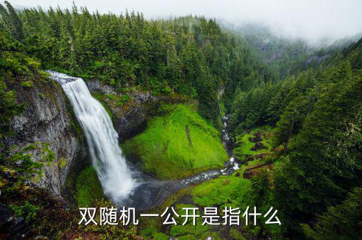什么是稅務(wù)稽查雙隨機(jī)，會(huì)計(jì)基礎(chǔ)知識(shí)什么是稅務(wù)稽查