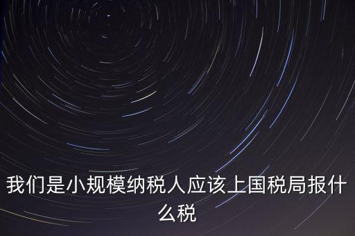小規(guī)模要報(bào)什么稅，我想問問小規(guī)模納稅人報(bào)稅需要報(bào)些什么