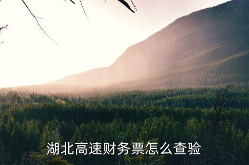 湖北地區(qū)如何網上查詢發(fā)票真?zhèn)?，湖北省通用定額發(fā)票查詢真?zhèn)尾樵?/></a></span><span id=