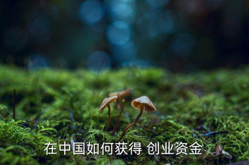 中國(guó)怎么創(chuàng)業(yè),創(chuàng)業(yè)、小企業(yè)怎么做?