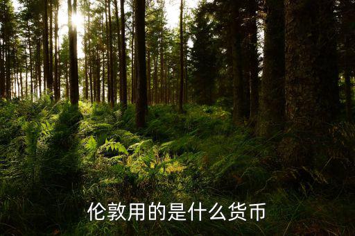 倫敦用什么貨幣，英國(guó)倫敦用什么錢飲食吃什么