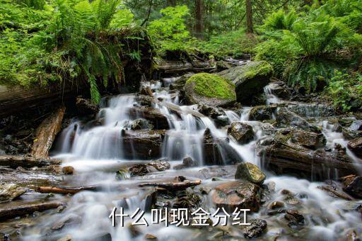 理財產(chǎn)品現(xiàn)金分紅是什么意思，現(xiàn)金分紅是什么意思