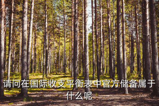 官方儲(chǔ)備資產(chǎn)包括什么，官方儲(chǔ)備資產(chǎn)包括固定資產(chǎn)嗎