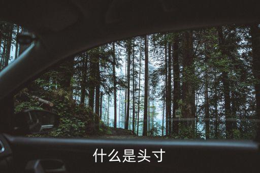 什么是投機(jī)頭寸，什么是頭寸