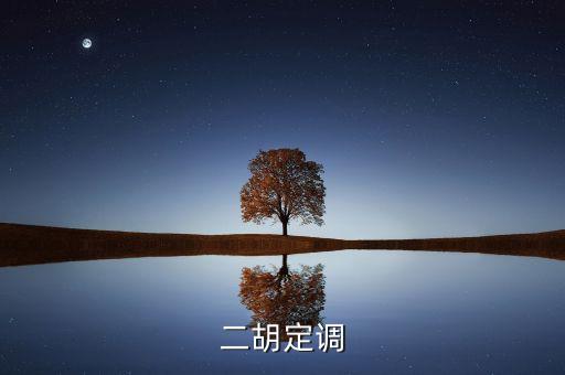 定調(diào)什么意思，二胡定調(diào)