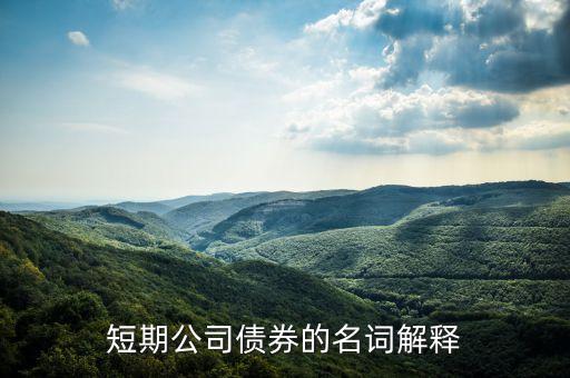 什么叫銀行短期債券，我國(guó)銀行的短期借入債市場(chǎng)是什么呢謝謝回答
