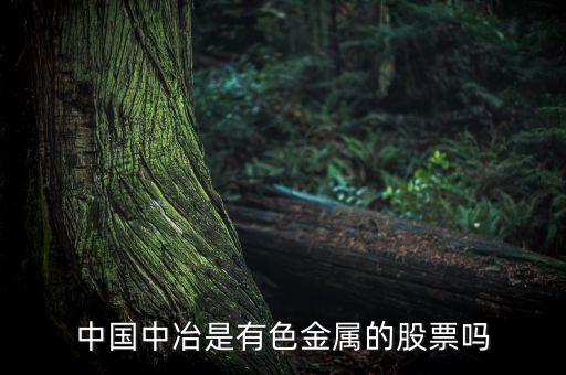 中國(guó)中冶屬于什么板塊，中國(guó)中冶在哪個(gè) 版塊
