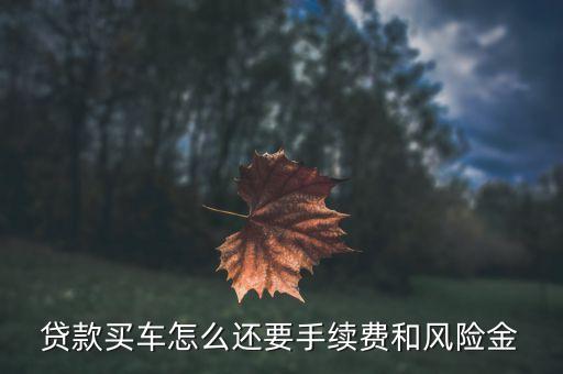 車貸風險金是什么怎么收費，我想貸款買車不知道風險擔保費是怎么計算的